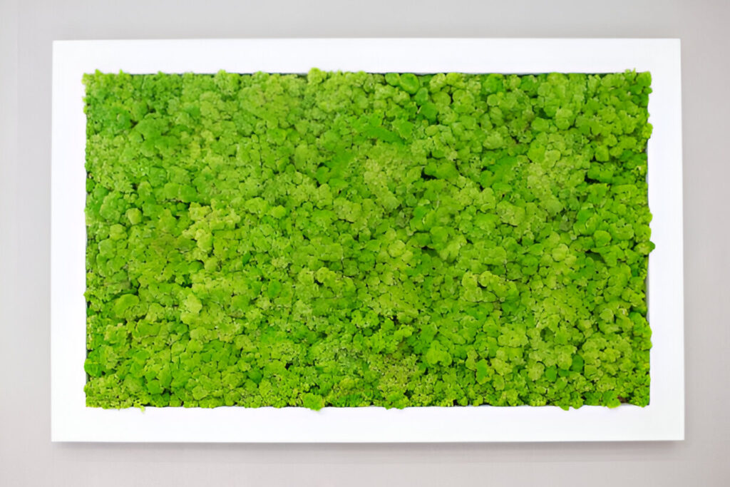 moss wall arrt